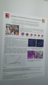 Il 27 Novembre 2015 il Liceo Serpieri ha vinto la settima edizione della SUMMER SCHOOL con alunni della classe 4C scientifico (Albini,Lorenzi,Bernabè, Di Domenico, Cecchetti) e della classe 5C