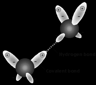 Molecole di Acqua R R
