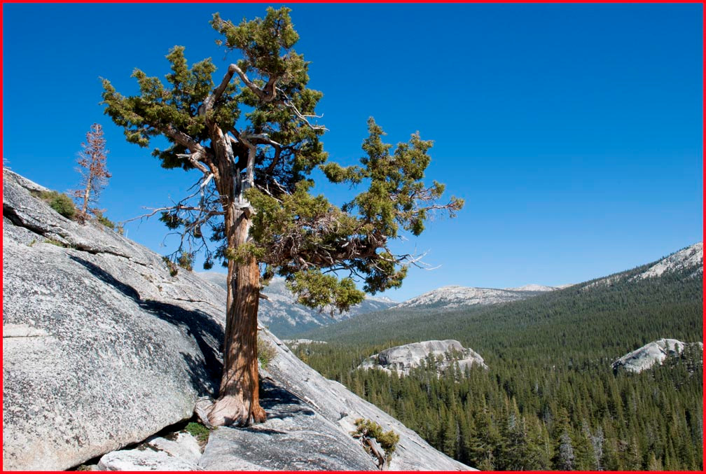 Yosemite National Park, USA 6.