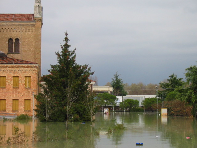 1-TEMA Il gruppo Comunale di Protezione Civile di Pordenone organizza per i giorni 6-7-8 novembre 2009 un attività di addestramento e formazione dei volontari al fine del mantenimento della massima