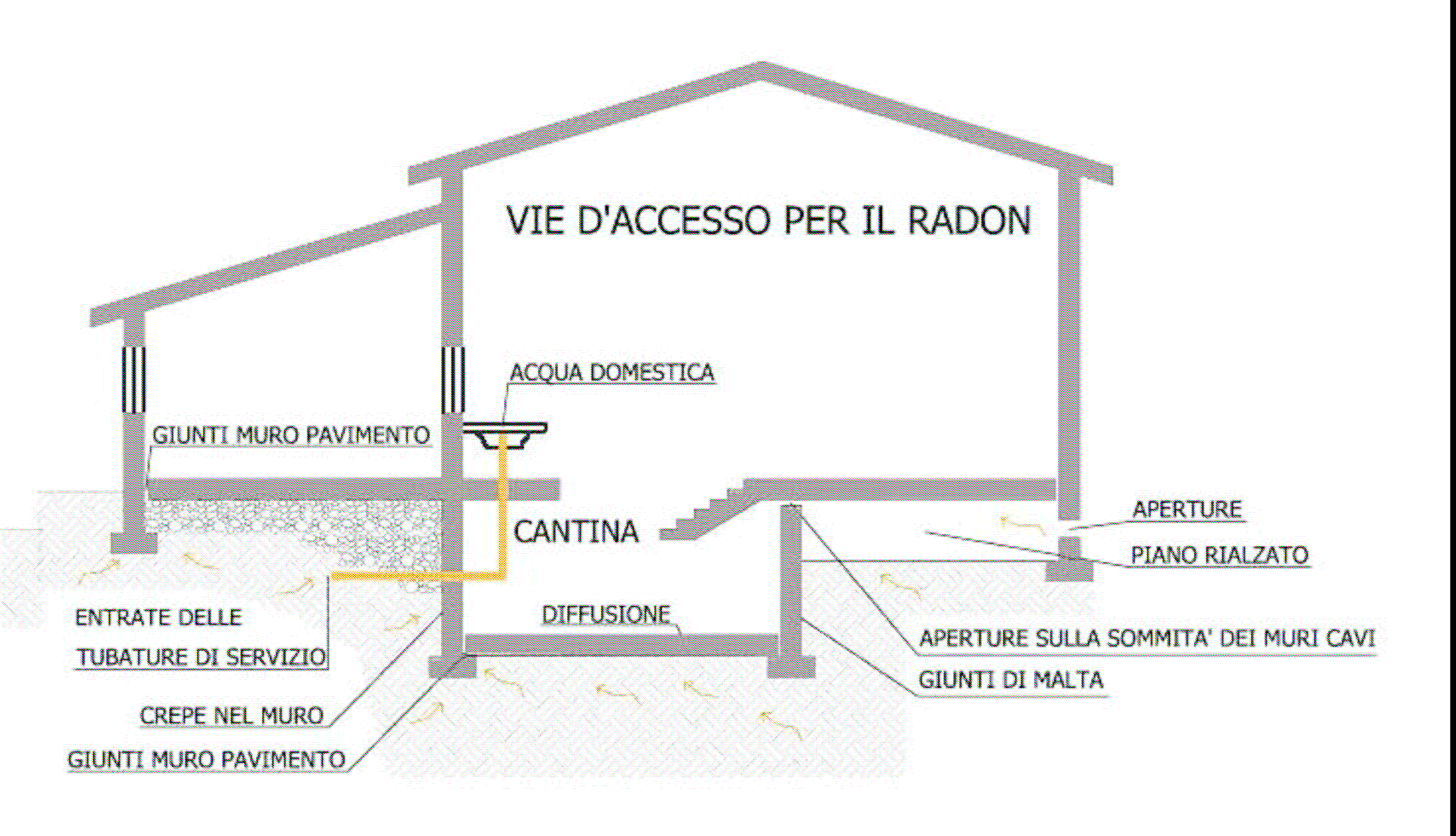 VIE DI INGRESSO DEL RADON Immagine tratta da: Linee guida per la