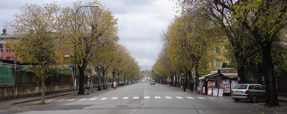 Lettura L area del progetto (32 ha totali) è circondata da viali alberati verso l esterno della città e da un boulevard.