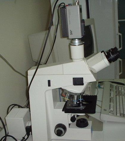 Fotocamera o telecamera Anatomia di un microscopio Oculari Stativo Fonte di illuminazione Vite