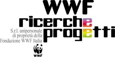 REGIONE PUGLIA PROGETTO NUMERO VERDE CONTRO I REATI DEL MARE E AMBIENTALI SUL DEMANIO MARITTIMO DELLA REGIONE PUGLIA PERIODO : 25 Giugno 31 Luglio 2007 via Basento,