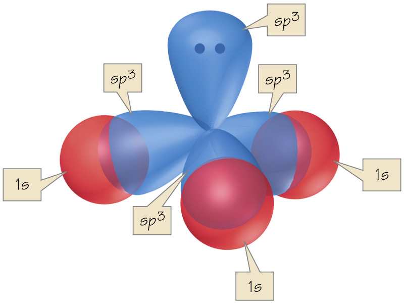 LA MOLECOLA N 3 δ- N Ammoniaca δ+ δ+ Atomo di azoto N Atomi di δ+ Atomo di La molecola N 3 è simile a quella di 2 O per ibridizzazione e legami ma ha un