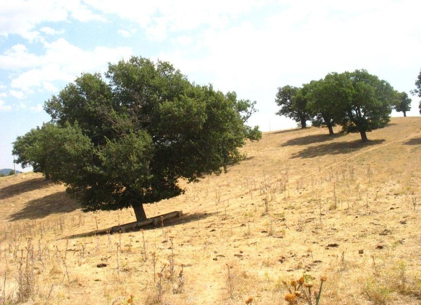 Murgia San Lorenzo in Val D Agri Le aree che compongono la rete Natura 2000 non sono riserve in cui le attività umane sono escluse; la normativa intende