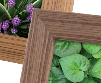 eco frame 860(W) 860(X) 860(P) 860 portaritratti legno eco / wooden photo frame (P) noce / walnut (W) moro / dark brown (X) teak 13x18 Acquistando