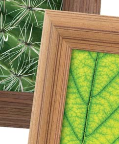 eco frame 858(W) 858(P) 858(X) 859(W) 859(P) 859(X) 858 portaritratti legno eco / wooden photo frame (P) noce / walnut (W) moro / dark