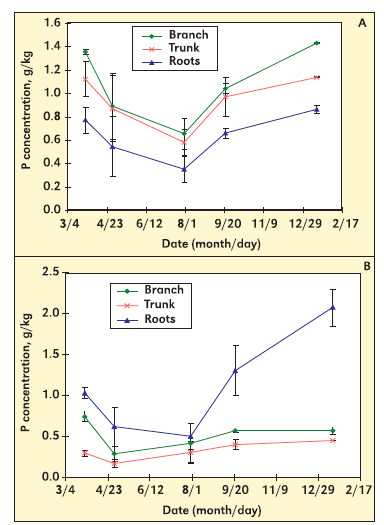 P - concentrazione g/kg P - concentrazione g/kg Fosforo nella Pianta Branche Troco Radici Corteccia Melo Var.