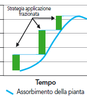 Fertilizzante ideale FERTIIZZANTE IDEALE DISTRIBUZIONE FRAZIONATA in copertura Nelle colture estensive i fertilizzanti fosfatici, visto la loro scarsa mobilità nel suolo, non possono essere