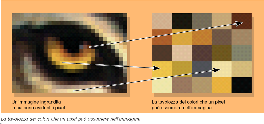 Palette Tavolozza dei colori (palette): palette in un immagine indica quali colori possono essere assegnati ad un pixel dà la