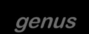 Le novità in tema di Consulenza in materia di investimenti Conferma dell ampio genus consulenza Interpretazione CONSOB ottobre 2007 e CESR 2010 La novità: la species consulenza indipendente (art. 24.