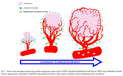 Sviluppo angiogenesi tumorale (Meccanismi fisiopatologici) Lamuraglia M.