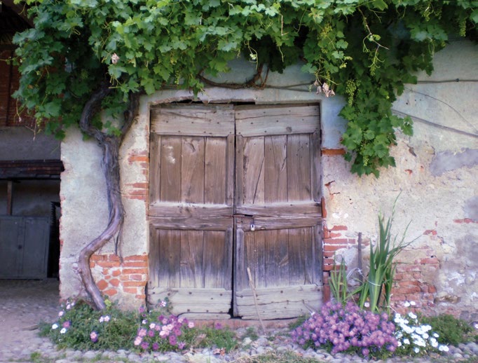 CARATTERISTICHE TECNICHE Casa padronale, tre appartamenti, ampio cortile interno, dieci stalle, quattro depositi, due locali uso ricovero attrezzi, tre fienili, un forno ed un granaio.