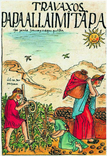L Europa alla scoperta del mondo 1 Unità La coltivazione della patata (qui raffigurata in un codice del XVI secolo), fu particolarmente diffusa nelle regioni andine che facevano parte dell Impero