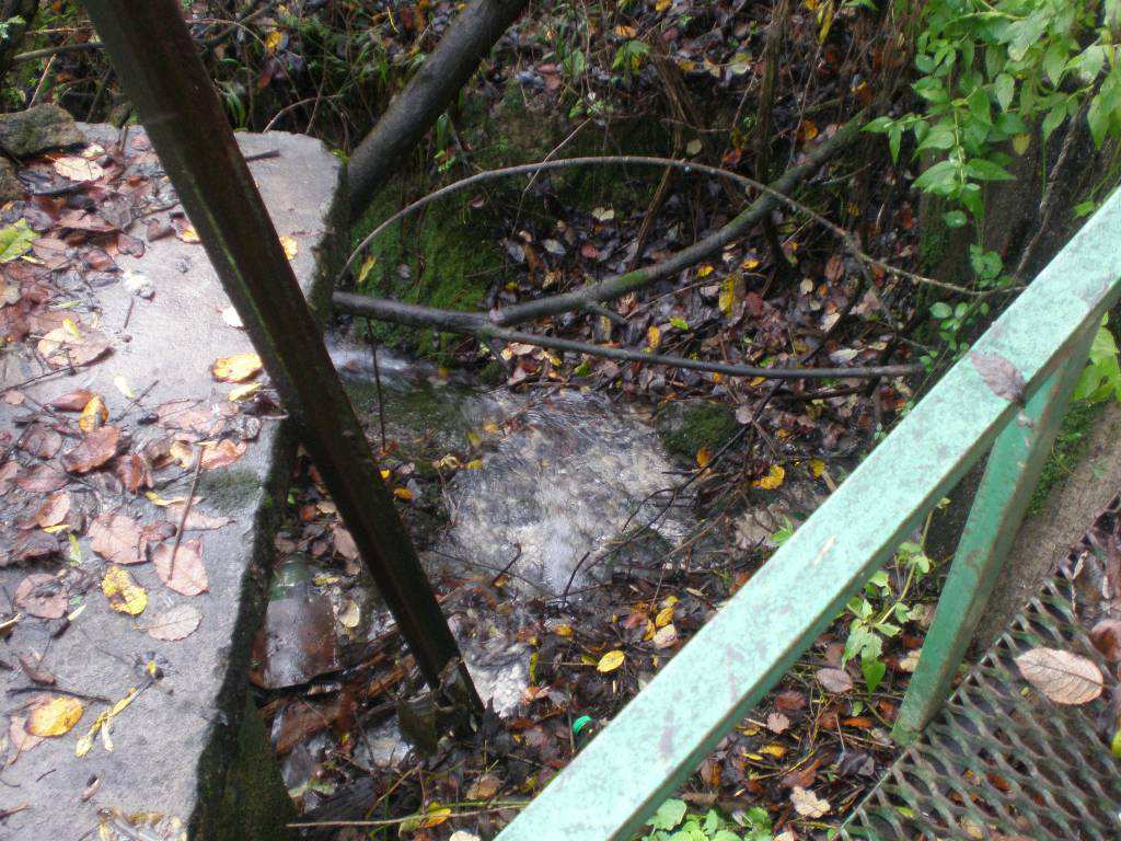 NOV_2014 8/11 Area di cava presso l opera di captazione S2: La freccia rossa indica la posizione del bottino drenante parzialmente nascosto da vegetazione infestante.