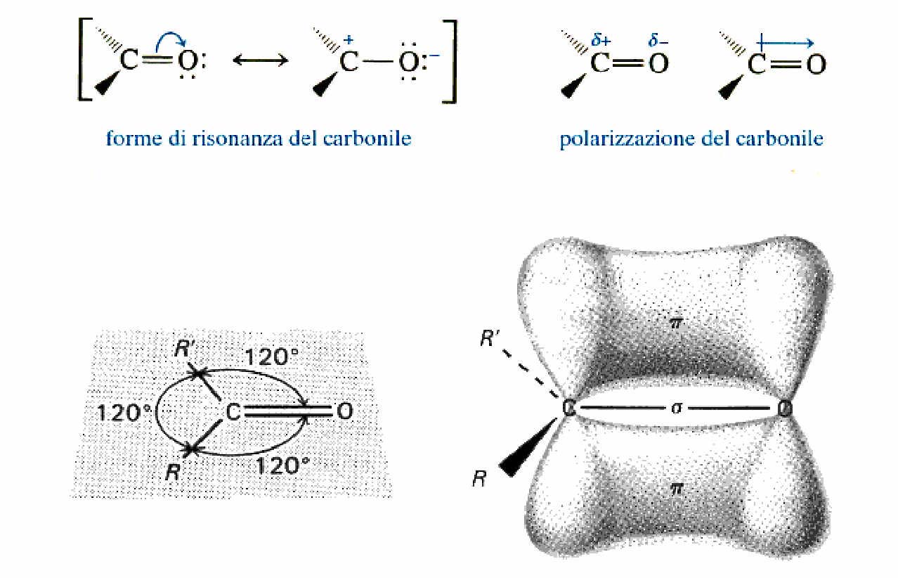 La differente elettronegatività tra ed fa sì che il legame = sia molto polare Stabilità del carbonile Le aldeidi aromatiche sono meno reattive di quelle alifatiche per la stabilizzazione dovuta alle