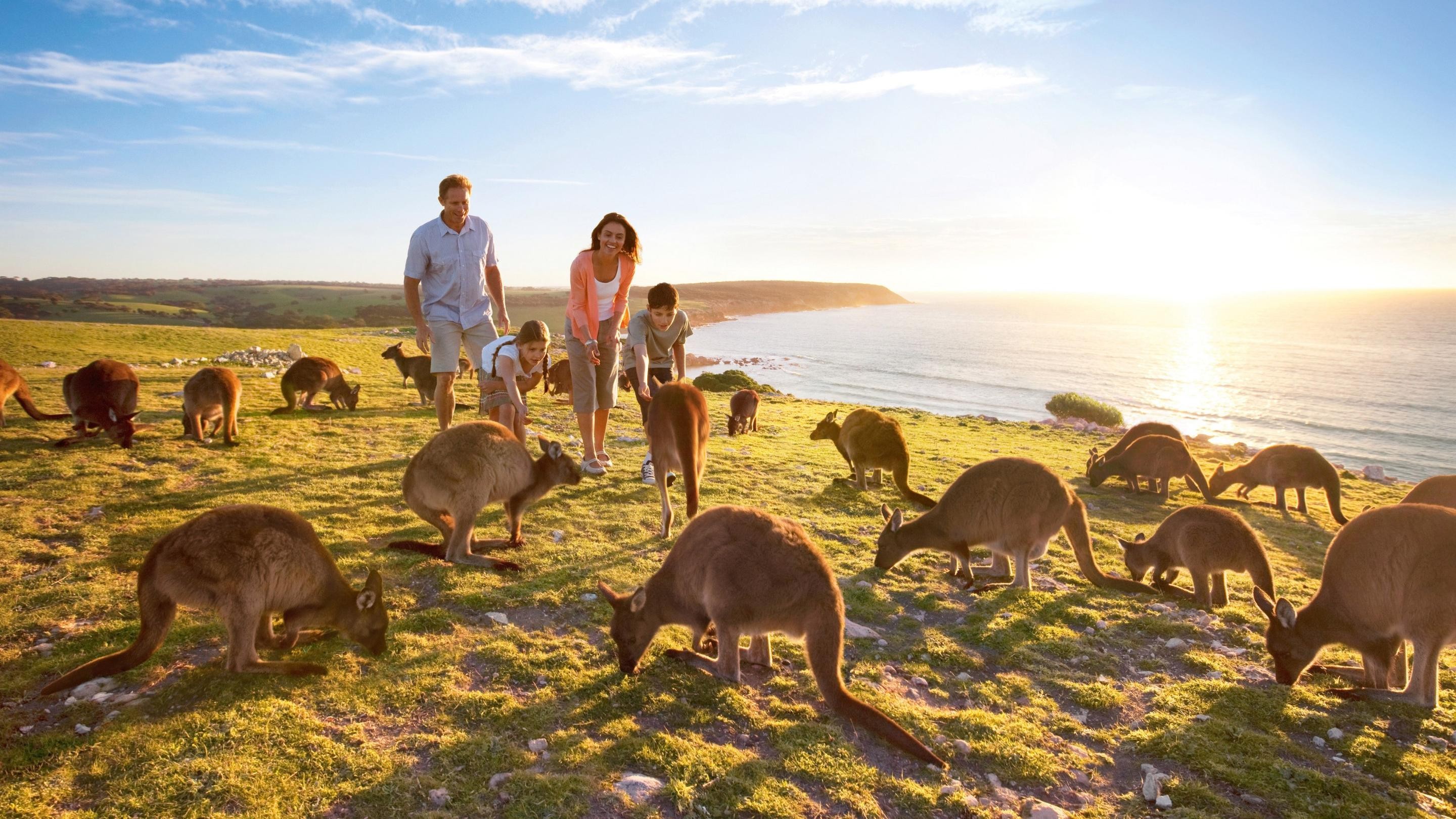 21-22/6/2017: Adelaide/Kangaroo Island Trasferimento in auto verso il porto; un traghetto ci aspetta per portarci a