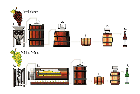 piuttosto ristretto, spesso anche un singolo vigneto, tanto da conferire al vino caratteristiche