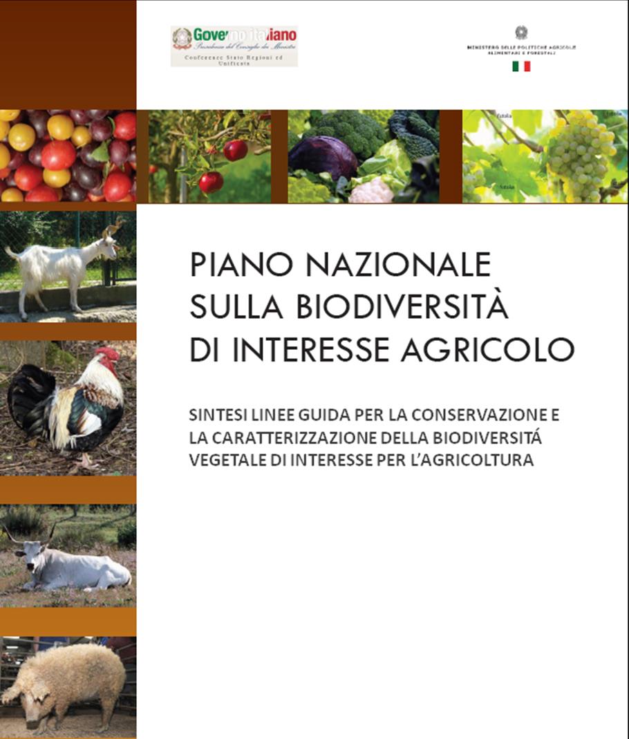 Adozione delle linee guida nazionali per la conservazione in situ, on farm ed ex situ, della biodiversità vegetale, animale