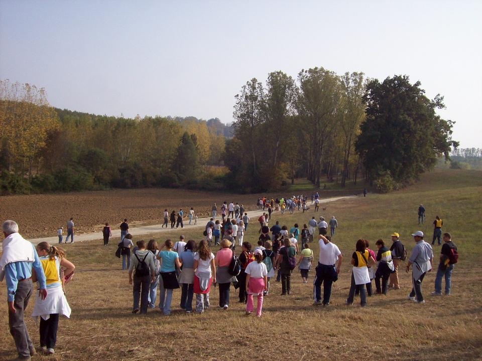 SVILUPPO DELLE POLITICHE SUL PAESAGGIO 6 www.osservatoriodelpaesaggio.