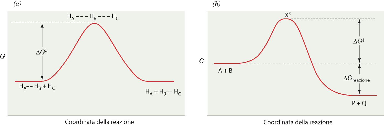 Diagrammi dello stato di transizione Perché due molecole possano reagire devono scontrarsi e rompere i legami che tengono uni4 i loro atomi; per far questo necessitano di sufficiente energia cine4ca,