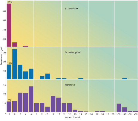 Distribuzione del