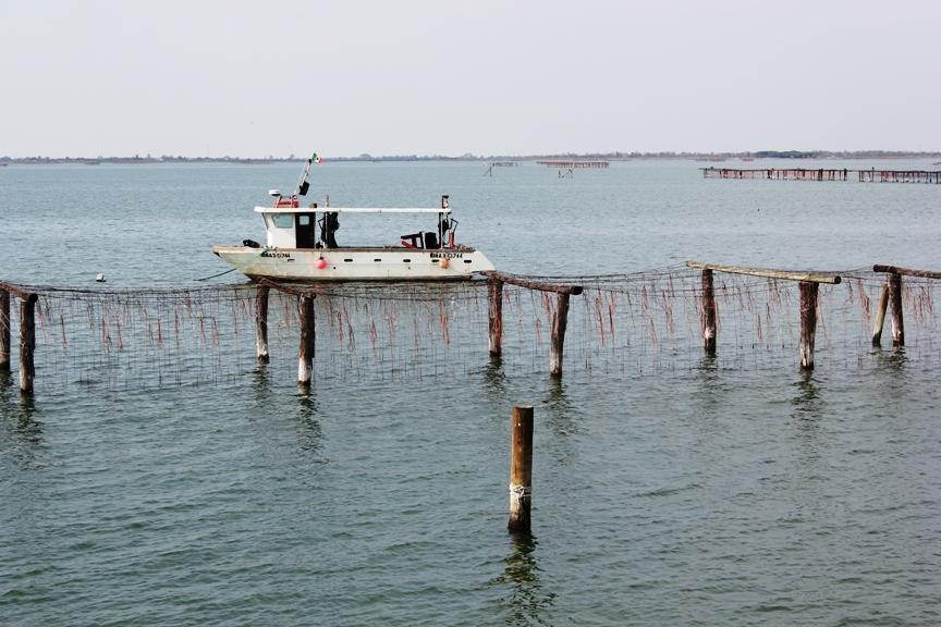 Distretto di Pesca Nord Adriatico Analisi socio-economica della filiera ittica