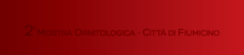 Carissimi Amici, L Associazione Ornitologica Flumens (A.O.F.), Associazione senza fine di lucro, aderente alla Federazione Ornicoltori Italiani Onlus (F.O.I. - www.foi.