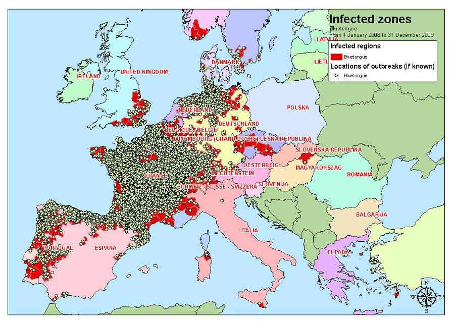 Figura 9 Blue Tongue Zone infette e focolai in Europa periodo
