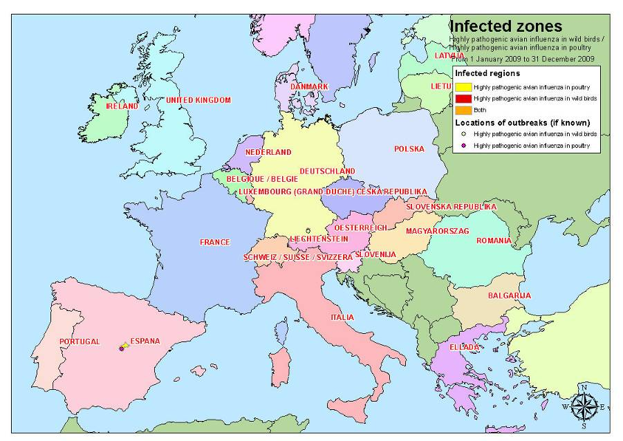 Figura 10 Influenza aviaria - Zone infette e focolai in Europa Anno 2009