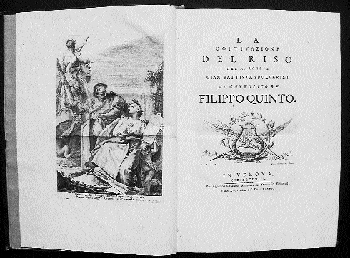 512 - SPOLVERINI - La coltivazione del riso del Marchese... - 1758 in-4, pp. (12), 197, (2), rileg. mod. cartone color. Con doppio antip. inc. in rame da Domenico Cunego su dis.