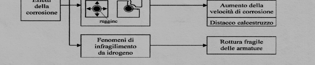 Degrado del calcestruzzo Durabilità del calcestruzzo armato Corrosione delle armature Le conseguenze dei fenomeni corrosivi non