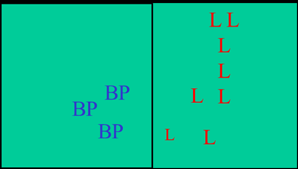 Dialisi all equilibrio Applicabile quando il L è molto piccolo Sfrutta il principio della dialisi Si ottiene la separazione tra BPL e L attraverso una membrana