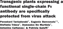 Nature 1993 espressione in piante di tabacco di un anticorpo contro la