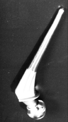 Considerazioni preliminari sulla resistenza a fatica di steli femorali per protesi d'anca Figura 4: protesi modello Meros prodotta dal Gruppo Industriale Bioimpianti In questo lavoro si fa