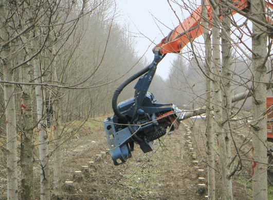 Il cantiere è caratterizzato dalla produzione mista di tondello e cippato, che avviene direttamente in campo L abbattitrice si compone di una testa Keto 150 applicata ad un escavatore cingolato.