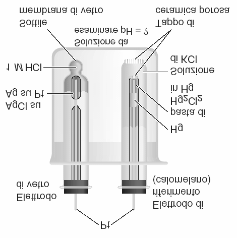 a specie: Elettrodo metallico a contatto con una fase solida costituita da un sale poco solubile del medesimo metallo e con una soluzione di un elettrolita avente l anione in comune con il