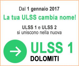 I Siti WEB Al momento rimangono attivi e aggiornati entrambi i siti: www.ulss.belluno.it www.ulssfeltre.veneto.