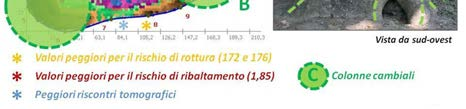 22 come la cavità stessa, per quanto estesa, non abbia una ripercussione sulla stabilità dell albero che la manifesta.