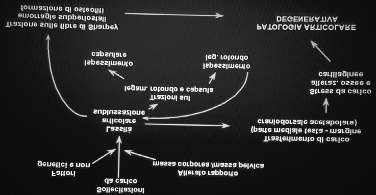 Displasia dell anca Eziologia Fattori genetici Poligenici (non ancora identificati) Alterato rapporto peso muscoli pelvici scheletro Anomala inclinazione della pelvi Osteocondrosi (fattori misti)