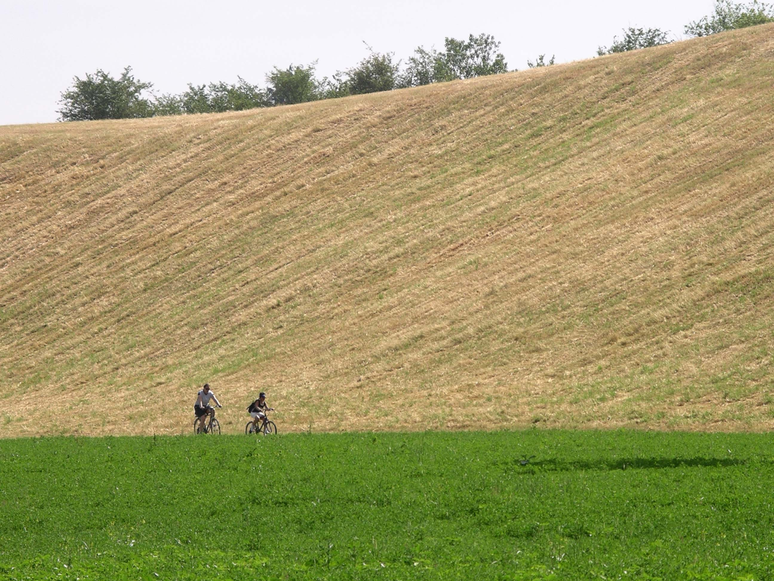 Lingua Pista protetta Percorso misto consigliato alle bici Cycle track/lane francese Piste