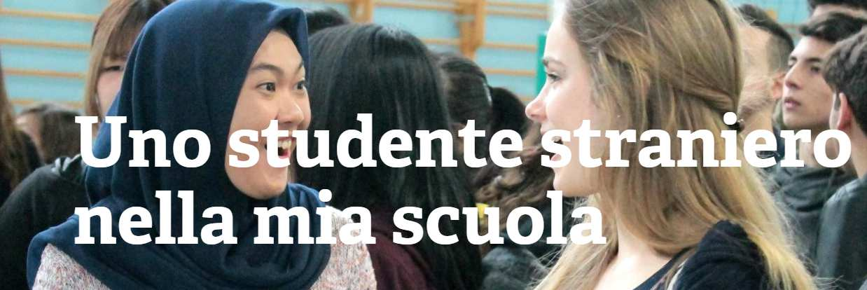 Programmi di ospitalità di studenti stranieri: spunti di riflessione per percorsi formativi ed interculturali Web seminar 30 novembre 2016 -