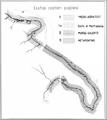 La fase Tipizzazione: un esempio per le acque marino-costiere pugliesi.