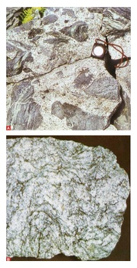 primario: profondità maggiore di 35 Km, temperatura maggiore di 1000 C. Molto fluido, risale facilmente attraverso la crosta.