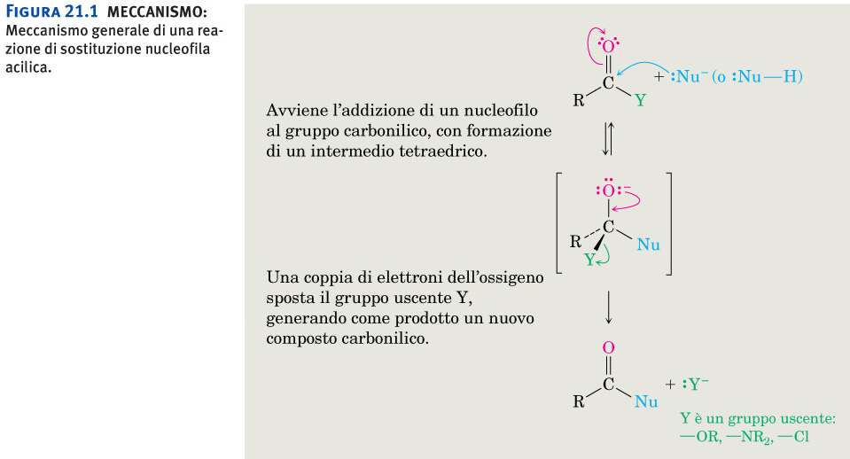 Sostituzione nucleofila acilica Figura 21.