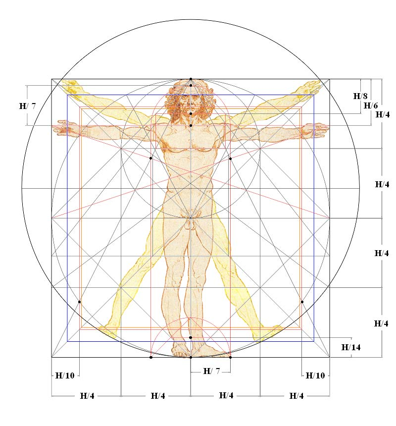 Nel libro Il segreto dell uomo vitruviano di Leonardo che presentiamo ai lettori ho descritto e spiegato il codice geometrico armonico che sottende il disegno leonardiano.
