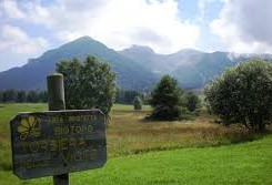 2.Biodiversità in Città L'azione prevede di attivare una forte collaborazione istituzionale ed operativa con Trento Film Festival con l'obiettivo a) di portare la Rete di Riserve in città attraverso