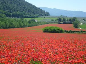 Toscana & Umbria Un viaggio per bici da corsa Un viaggio in bicicletta meraviglioso e pieno di sorprese, che passa per terre ricche d acqua, verdi montagne e colline coperte da boschi, vigneti ed