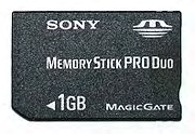 La potenza del silicio Memory stick: introdotte nel 1999 da Sony